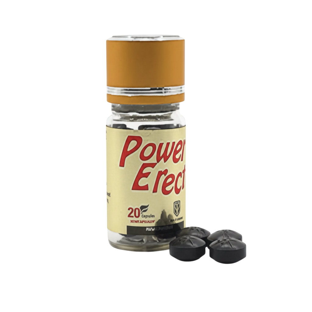 [1+1]파워이렉트 20정+20정