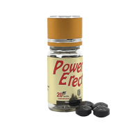 [1+1]파워이렉트 20정+20정