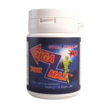 [1+1]기가맥스 20정+20정